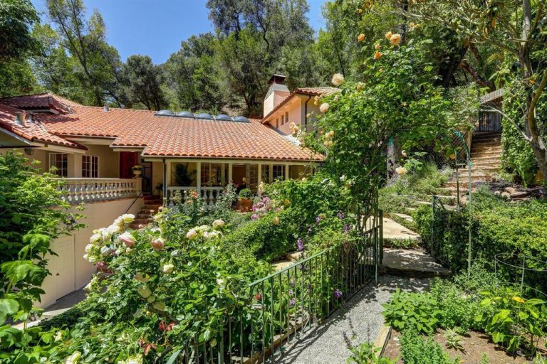 Read more about the article Laurel Grove